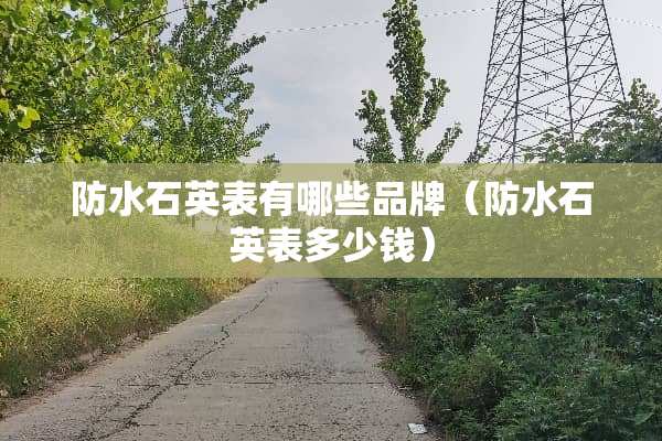 防水石英表有哪些品牌(防水石英表多少钱) 防水石英表有哪些品牌(防水石英表多少钱)