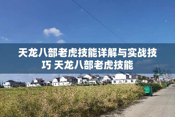 天龙八部老虎技能详解与实战技巧 天龙八部老虎技能