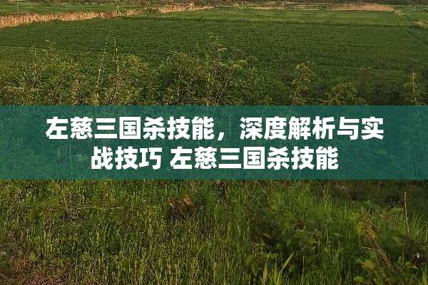 左慈三国杀技能,深度解析与实战技巧 左慈三国杀技能 左慈三国杀技能,深度解析与实战技巧 左慈三国杀技能