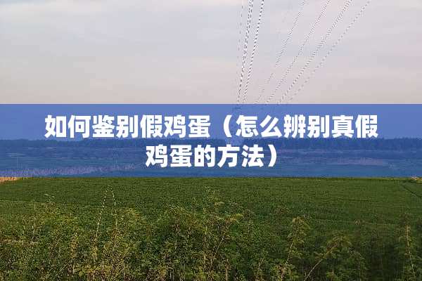 如何鉴别假鸡蛋（怎么辨别真假鸡蛋的方法）