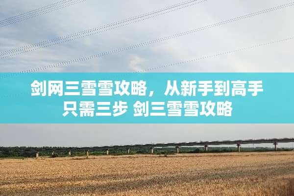 剑网三雪雪攻略，从新手到高手只需三步 剑三雪雪攻略