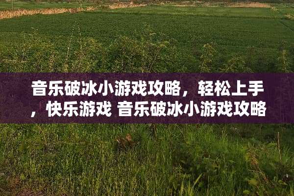 音乐破冰小游戏攻略，轻松上手，快乐游戏 音乐破冰小游戏攻略