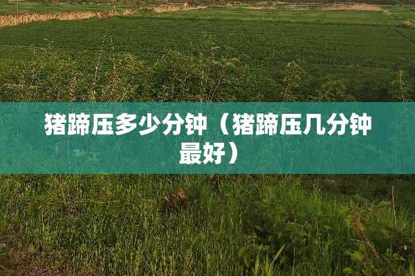 猪蹄压多少分钟（猪蹄压几分钟最好）