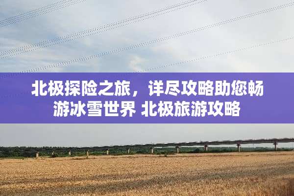 北极探险之旅，详尽攻略助您畅游冰雪世界 北极旅游攻略