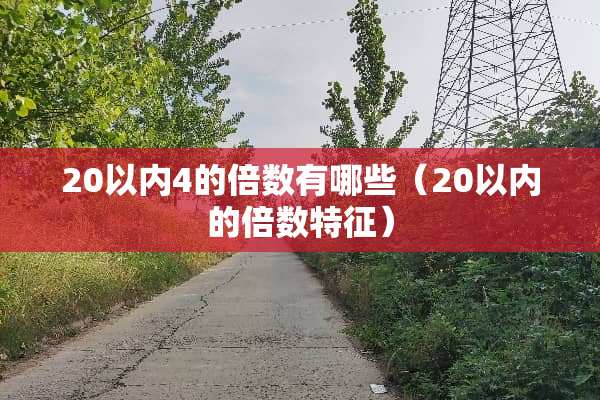 20以内4的倍数有哪些（20以内的倍数特征）