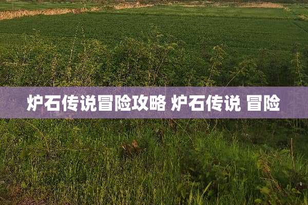 炉石传说冒险攻略 炉石传说 冒险