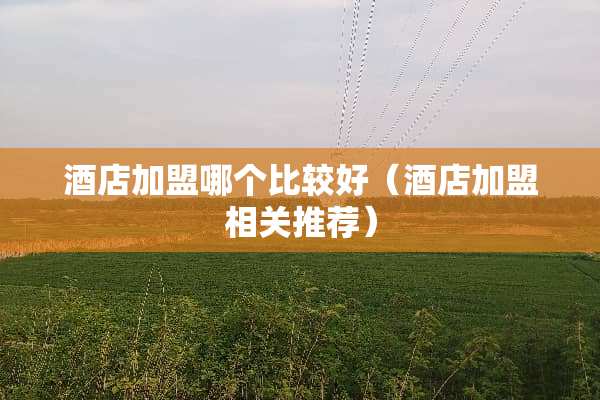 酒店加盟哪个比较好（酒店加盟相关推荐）