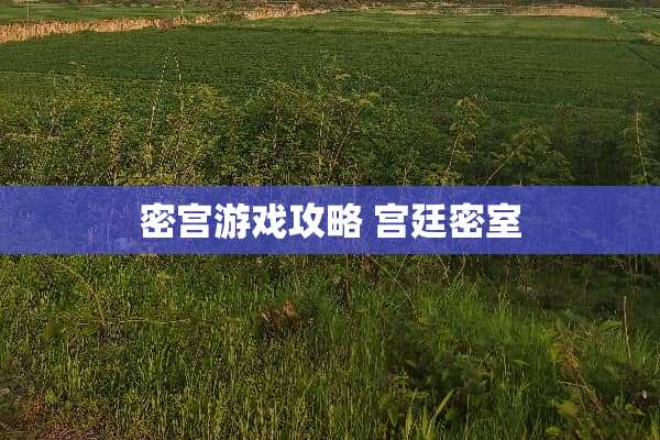 密宫游戏攻略 宫廷密室