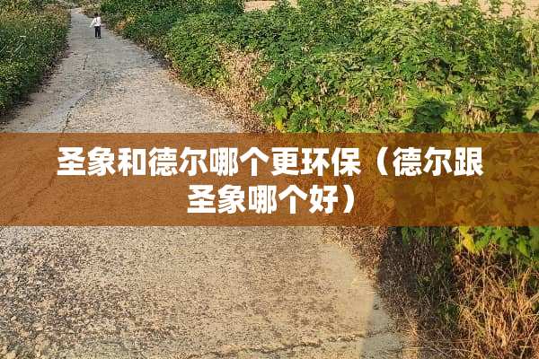 圣象和德尔哪个更环保（德尔跟圣象哪个好）