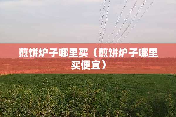 煎饼炉子哪里买（煎饼炉子哪里买便宜）