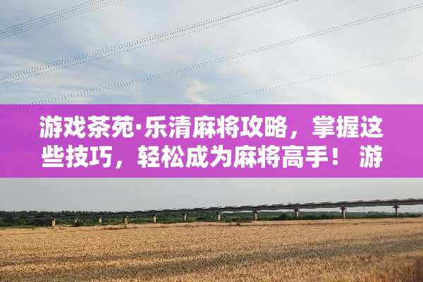 游戏茶苑·乐清**攻略，掌握这些技巧，轻松成为**高手！ 游戏茶苑乐清**攻略