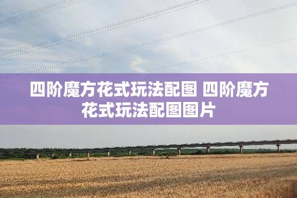 四阶魔方花式玩法配图 四阶魔方花式玩法配图图片 四阶魔方花式玩法配图 四阶魔方花式玩法配图图片