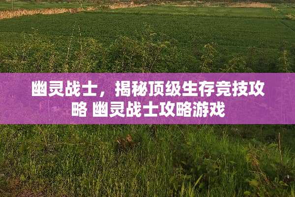 幽灵战士,揭秘**生存竞技攻略 幽灵战士攻略游戏 幽灵战士,揭秘**生存竞技攻略 幽灵战士攻略游戏