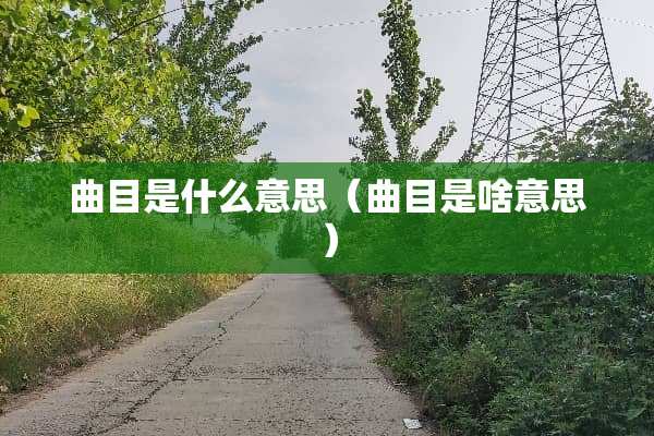 曲目是什么意思（曲目是啥意思）