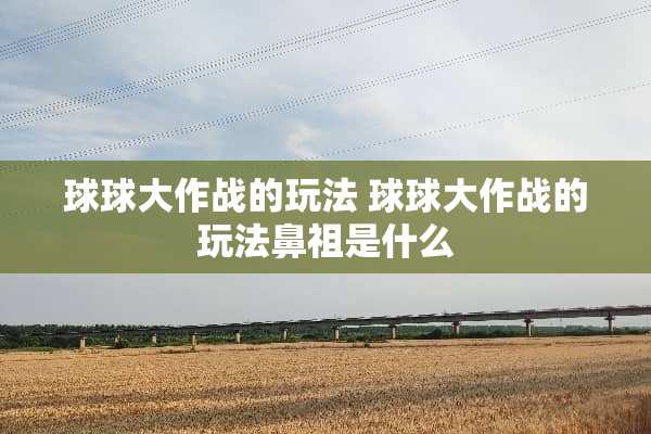 球球大作战的玩法 球球大作战的玩法鼻祖是什么