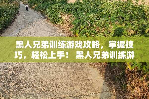 黑人兄弟训练游戏攻略，掌握技巧，轻松上手！ 黑人兄弟训练游戏攻略