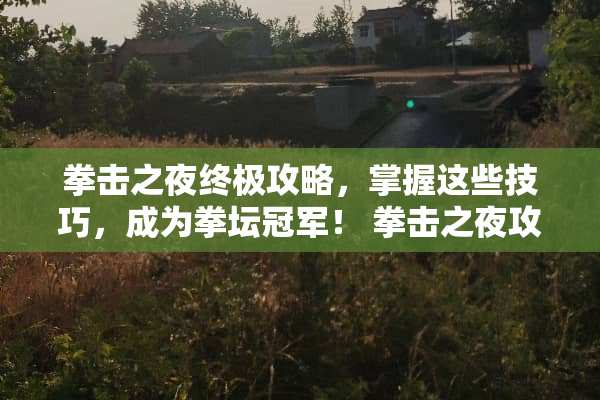 拳击之夜终极攻略，掌握这些技巧，成为拳坛冠军！ 拳击之夜攻略