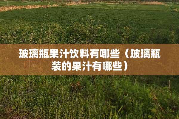 玻璃瓶果汁饮料有哪些(玻璃瓶装的果汁有哪些) 玻璃瓶果汁饮料有哪些(玻璃瓶装的果汁有哪些)