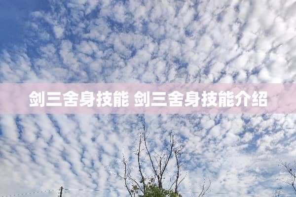 剑三舍身技能 剑三舍身技能介绍