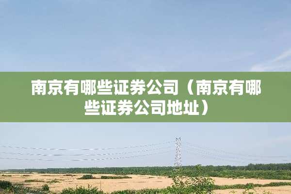 南京有哪些证券公司（南京有哪些证券公司地址）