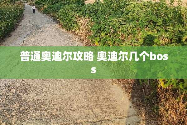 普通奥迪尔攻略 奥迪尔几个boss