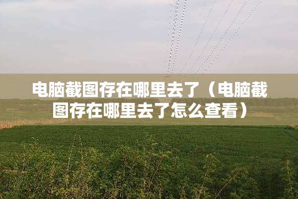 电脑截图存在哪里去了（电脑截图存在哪里去了怎么查看）