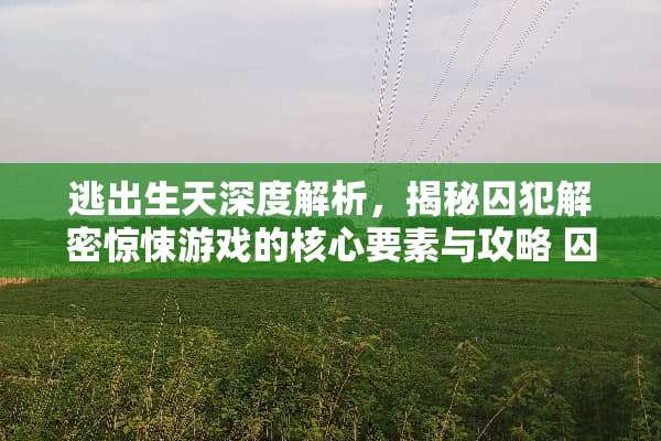 逃出生天深度解析，揭秘囚犯解密惊悚游戏的核心要素与攻略 囚犯解密惊悚游戏攻略