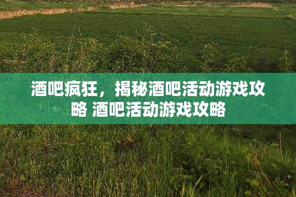 酒吧疯狂，揭秘酒吧活动游戏攻略 酒吧活动游戏攻略