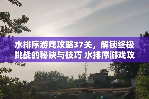 水排序游戏攻略37关，解锁终极挑战的秘诀与技巧 水排序游戏攻略37关