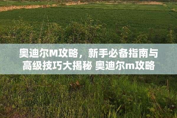奥迪尔M攻略，新手必备指南与高级技巧大揭秘 奥迪尔m攻略