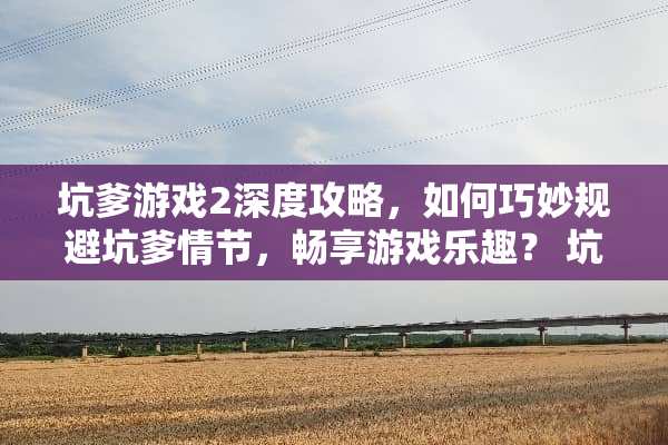 坑爹游戏2深度攻略，如何巧妙规避坑爹情节，畅享游戏乐趣？ 坑爹游戏2游戏攻略