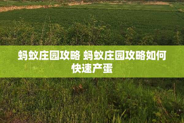 蚂蚁庄园攻略 蚂蚁庄园攻略如何快速产蛋