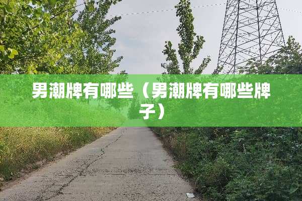 男潮牌有哪些（男潮牌有哪些牌子）