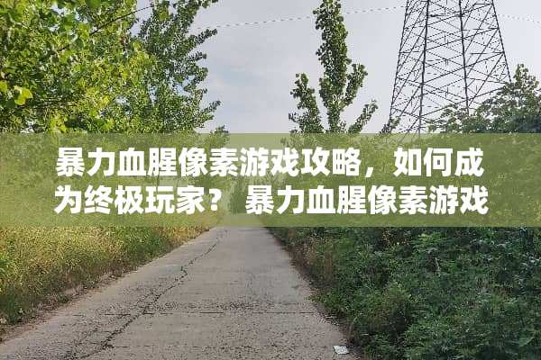 **血腥像素游戏攻略，如何成为终极玩家？**血腥像素游戏攻略