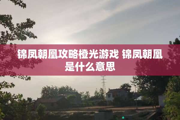 锦凤朝凰攻略橙光游戏 锦凤朝凰是什么意思