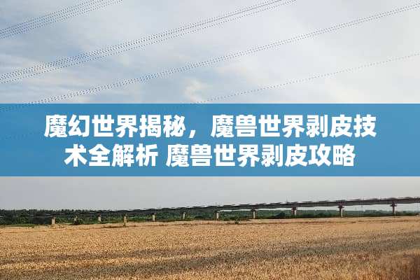 魔幻世界揭秘，魔兽世界剥皮技术全解析 魔兽世界剥皮攻略