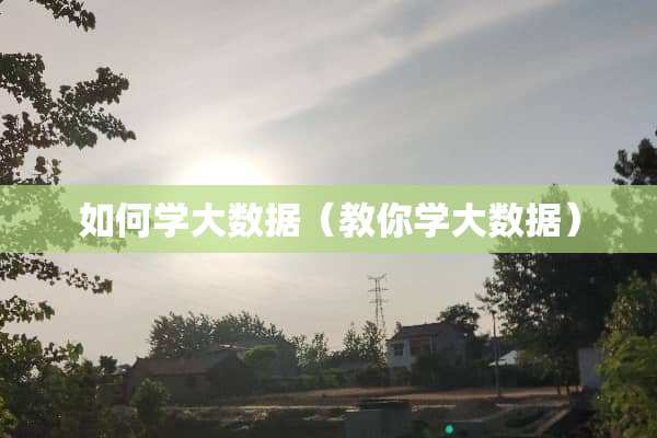 如何学大数据（教你学大数据）