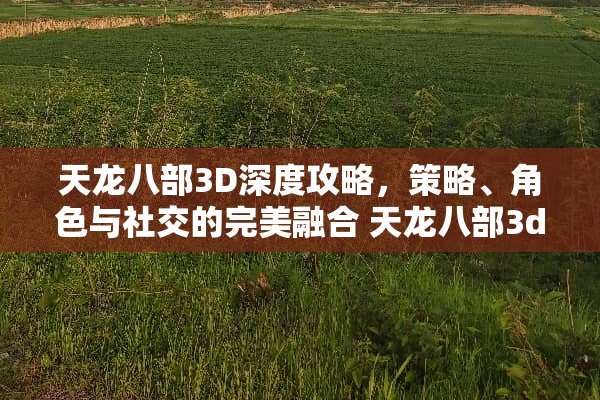 天龙八部3D深度攻略，策略、角色与社交的完美融合 天龙八部3d攻略