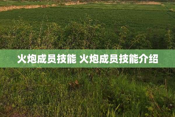 火*成员技能 火*成员技能介绍