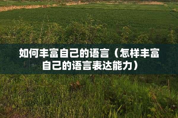 如何丰富自己的语言（怎样丰富自己的语言表达能力）