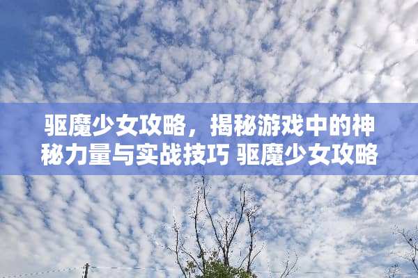 驱魔少女攻略，揭秘游戏中的神秘力量与实战技巧 驱魔少女攻略