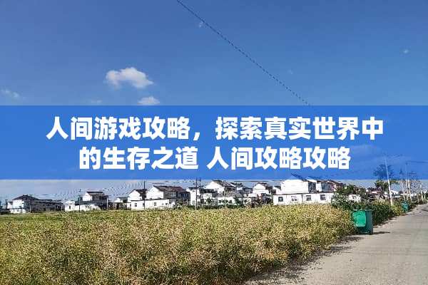 人间游戏攻略，探索真实世界中的生存之道 人间攻略攻略