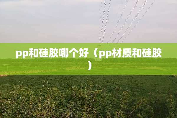 pp和硅胶哪个好（pp材质和硅胶）