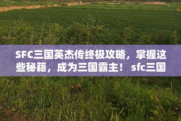 SFC三国英杰传终极攻略，掌握这些秘籍，成为三国霸主！ sfc三国英杰传攻略
