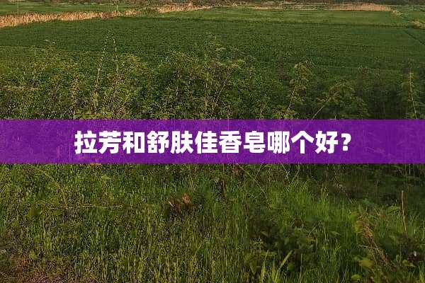 拉芳和舒肤佳香皂哪个好？
