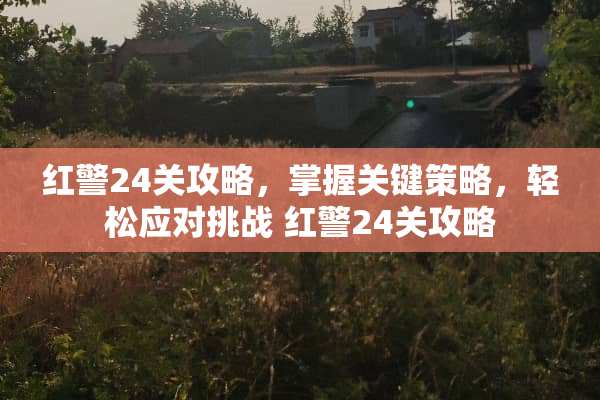 红警24关攻略，掌握关键策略，轻松应对挑战 红警24关攻略