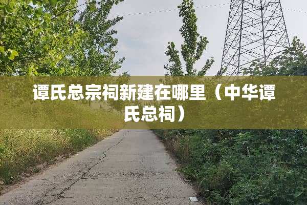 谭氏总宗祠新建在哪里（中华谭氏总祠）