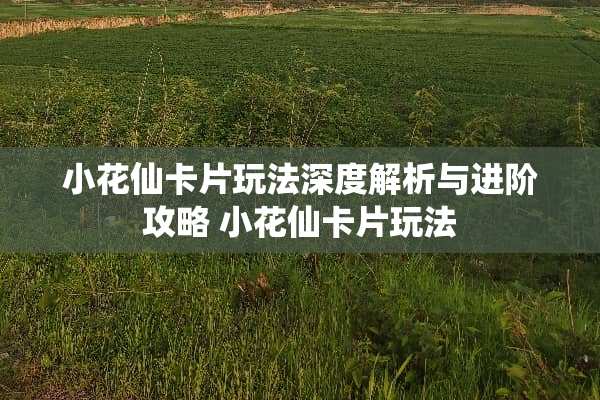 小花仙卡片玩法深度解析与进阶攻略 小花仙卡片玩法