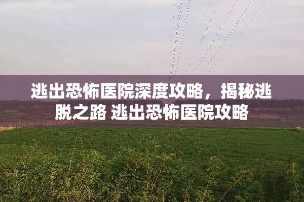 逃出恐怖医院深度攻略，揭秘逃脱之路 逃出恐怖医院攻略