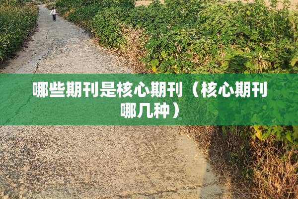 哪些期刊是核心期刊（核心期刊哪几种）